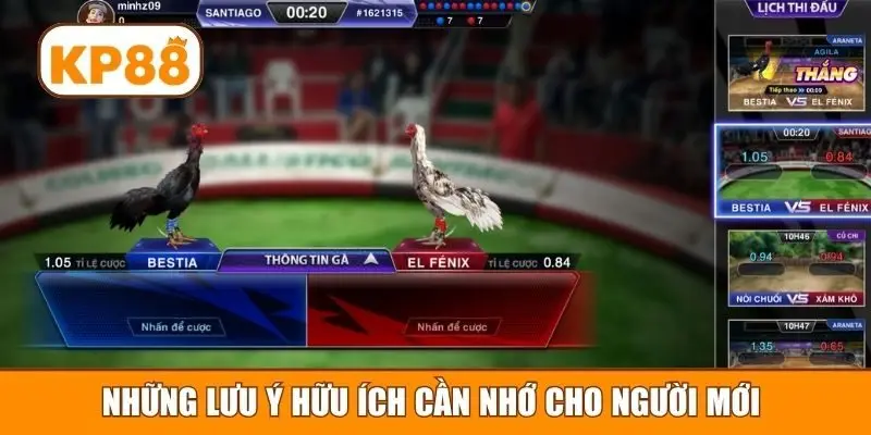 Những lưu ý hữu ích cần nhớ cho người mới 